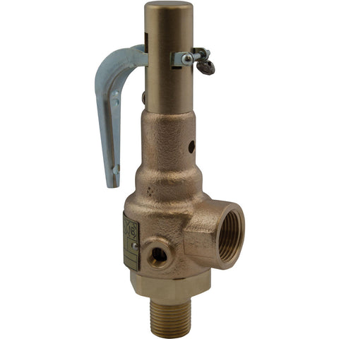Anti-Vibration Trim Safety Relief Valve: 1-1/2" Inlet, 165 Max psi