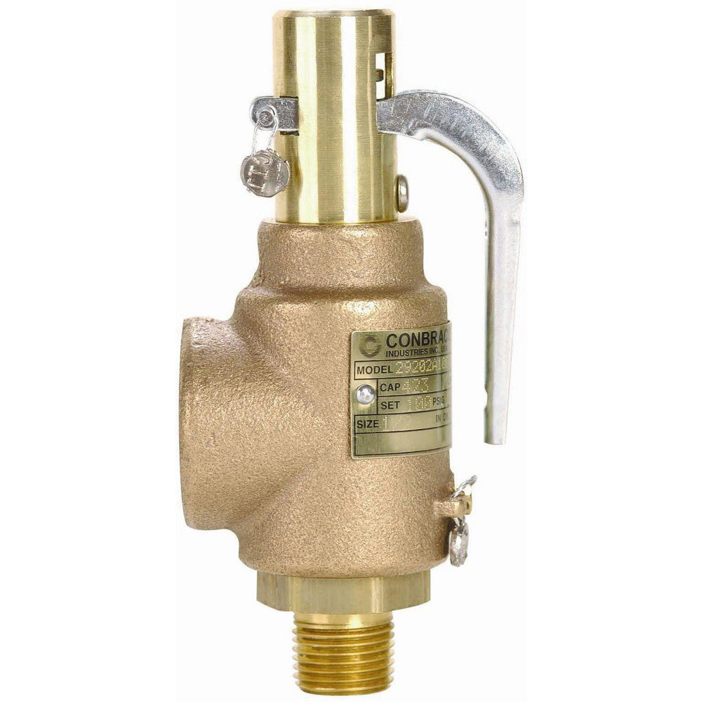 Safety Relief Valve: 1