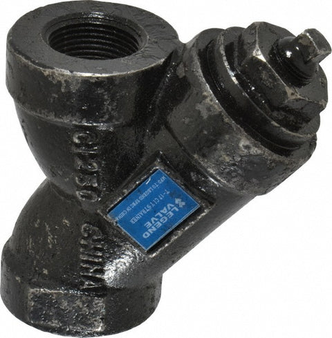 1" Pipe, FNPT Ends, Cast Iron Y-Strainer