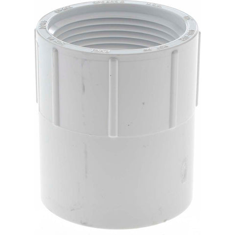 1-1/4" PVC Plastic Pipe Female Adapter
