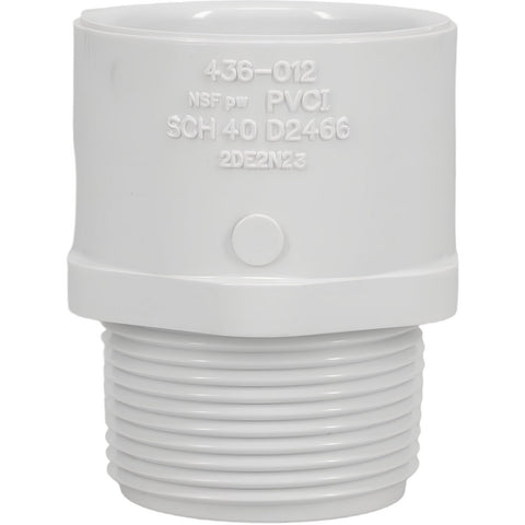 1-1/4" PVC Plastic Pipe Male Adapter