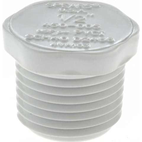 1/2" PVC Plastic Pipe Plug