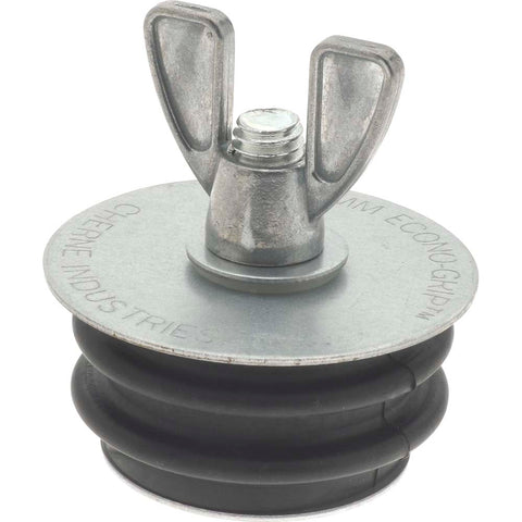 2" Pipe Mechanical Plug