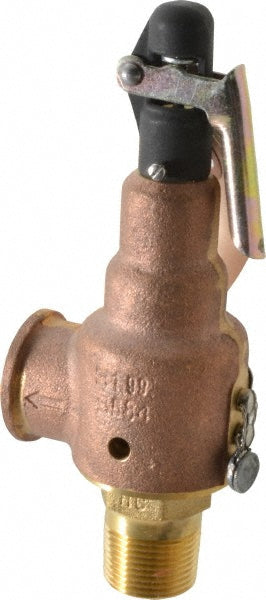ASME Safety Relief Valve: 3/4" Inlet, 350 CFM, 150 Max psi