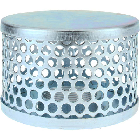 2" Hose, Round Hole Strainer