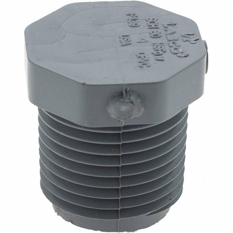 1/2" CPVC Plastic Pipe Hex Plug