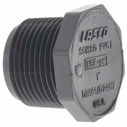1" PVC Plastic Pipe Hex Plug