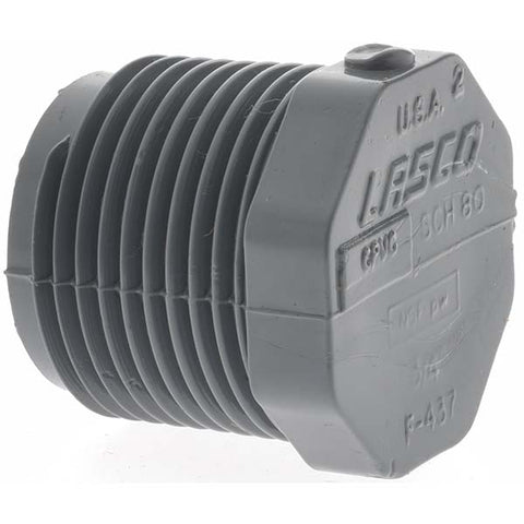 3/4" CPVC Pipe Hex Plug