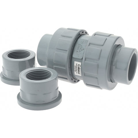 1" CPVC Plastic Pipe Union Check Valve