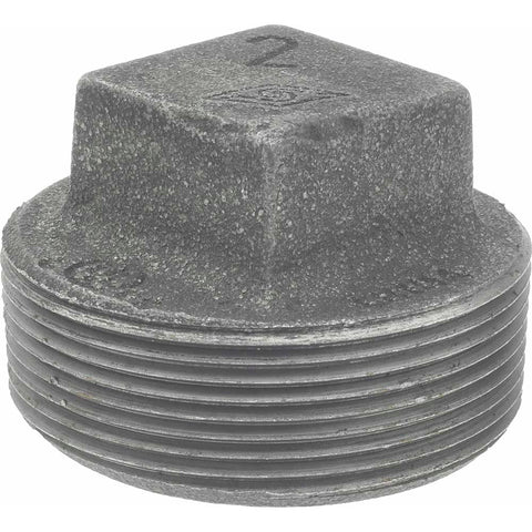 Black Square Plug: 2", Threaded