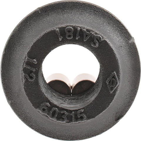 1/2" Pipe, 1-3/4" Dia x 3/32" Thick, Tank Flange with Pilot