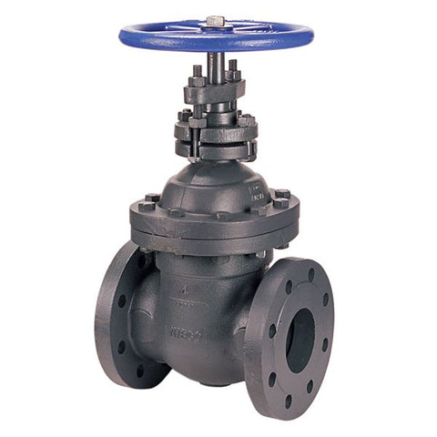 (Nibco Part#:  NHB300D) F-669 - Gate Valve - Class 250, Cast Iron, Non-rising Stem, Flanged